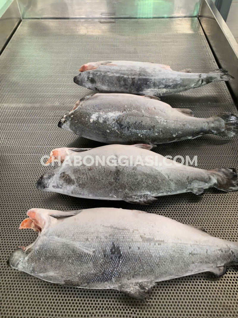 Chà bông cá hồi giá sỉ